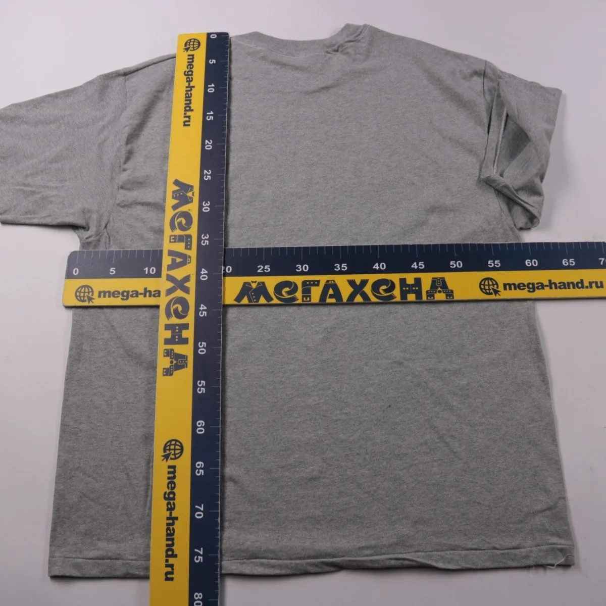 футболка Hanes